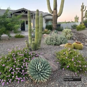 Planting Inspiration 1