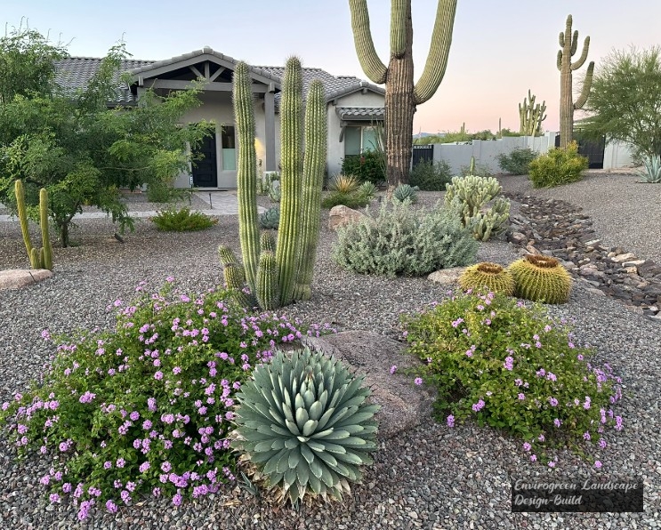 Planting Inspiration