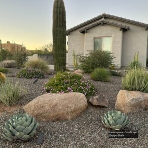 Planting Inspiration 2